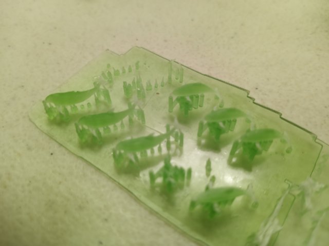 _202058.jpg