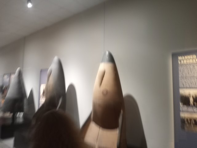_160954.jpg