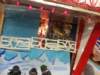 img_20220813_153112_small.jpg