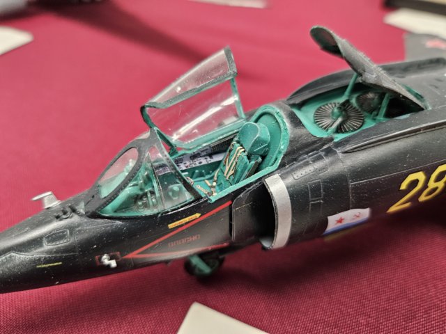 _202233.jpg