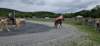 _104226_small.jpg