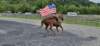_1042590_small.jpg