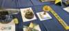 _110301_small.jpg