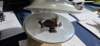 _110415_small.jpg