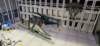 _112719_small.jpg