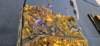 _151825_small.jpg