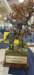 _153626_small.jpg
